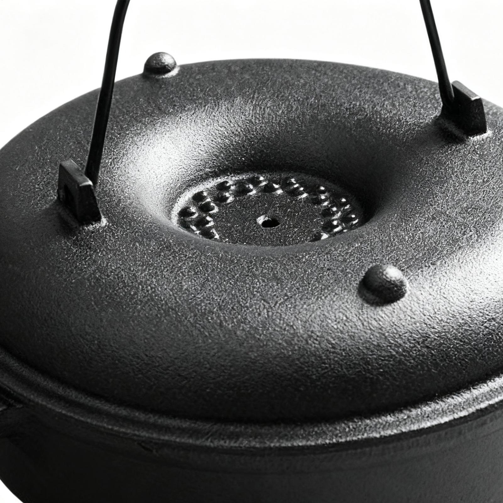 Cauldron Pot for Cooking Non-S - Camp Dutch Oven Cast 评论和价格