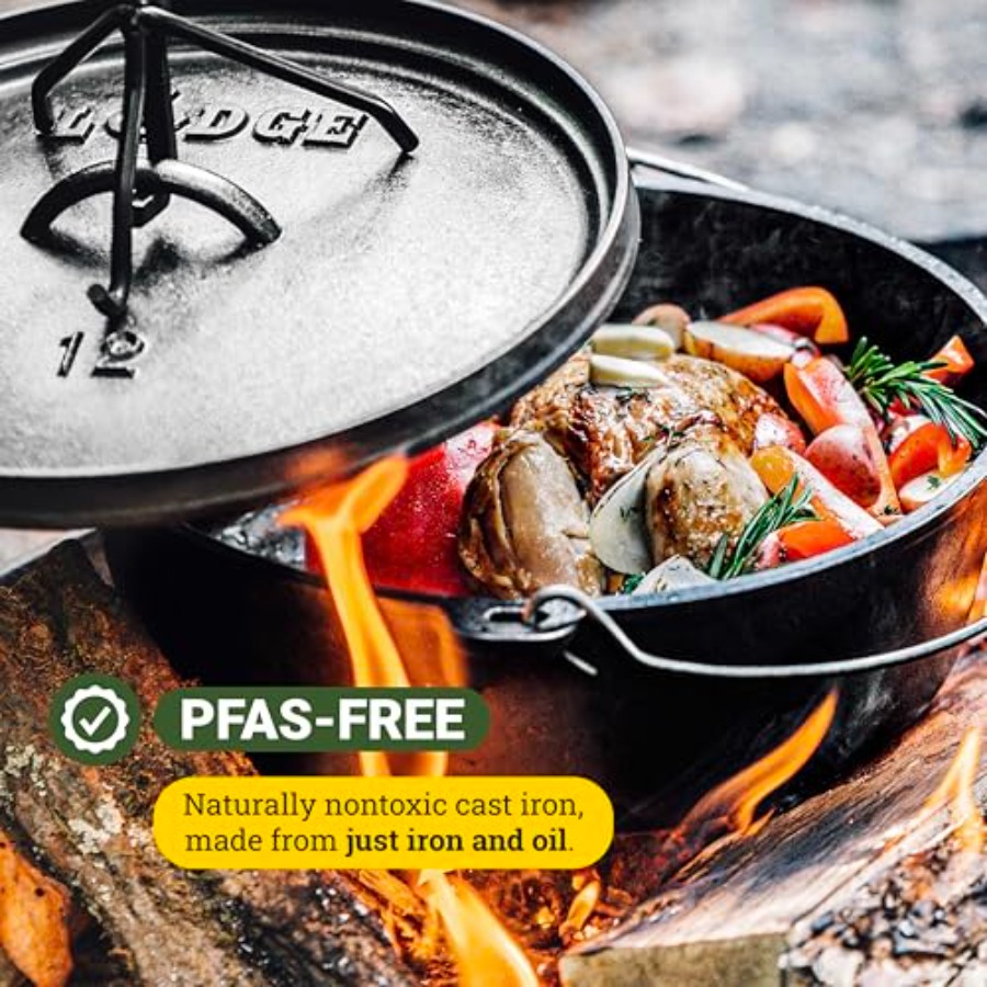 6Quart PreSeasoned Cast Iron C - Camp Dutch Oven Cast 评论和价格