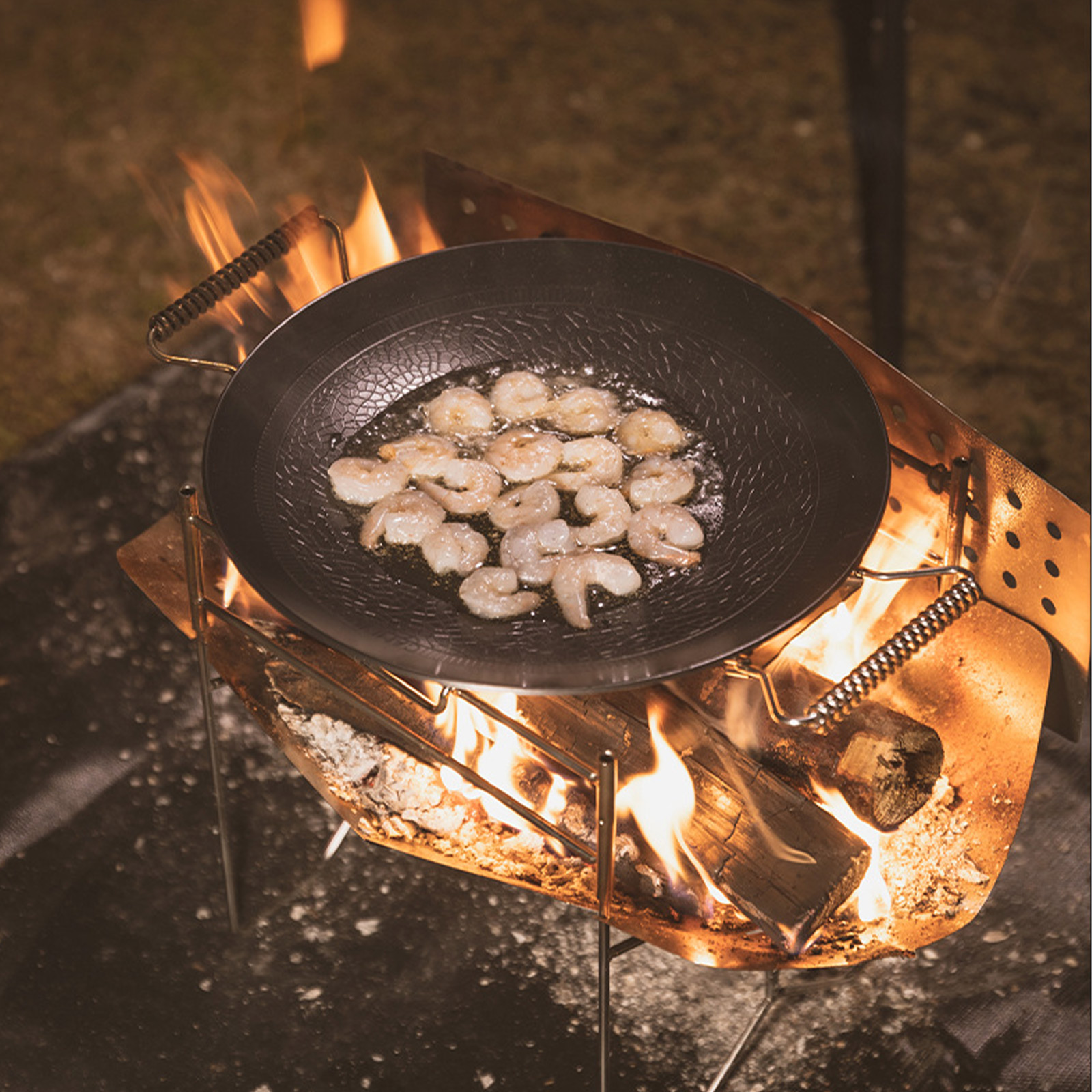 /Stainless /Steel /Foldable Bo - Camping Cooking Fire Pit 评论和价格